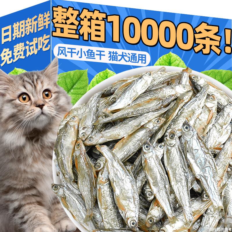 宠物小鱼干猫咪零食冻干多