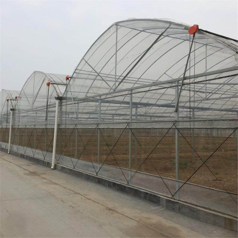 大棚钢管骨架农业蔬菜种植育苗草莓温室养殖椭圆管连体养牛羊大棚,农机/农具/农膜,智能温室设备,淘宝优惠券,粉丝福利购,淘宝优惠卷