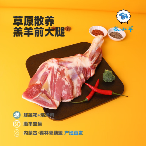 牧小羊草原整只羔羊前腿产地直发