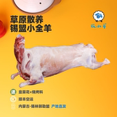 内蒙古小全羊整只苏尼特羊新鲜草原胴体羊烤全羊食材节日礼盒礼品