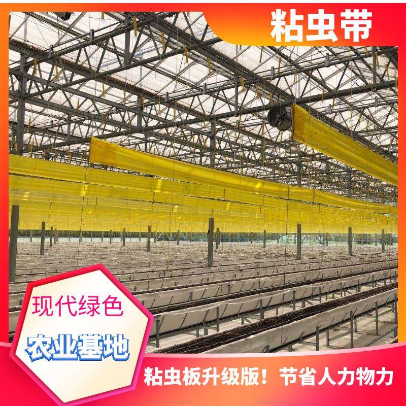 双面苗木粘虫带黄色农业防虫工程绿化农用果树园林业树木诱虫胶带