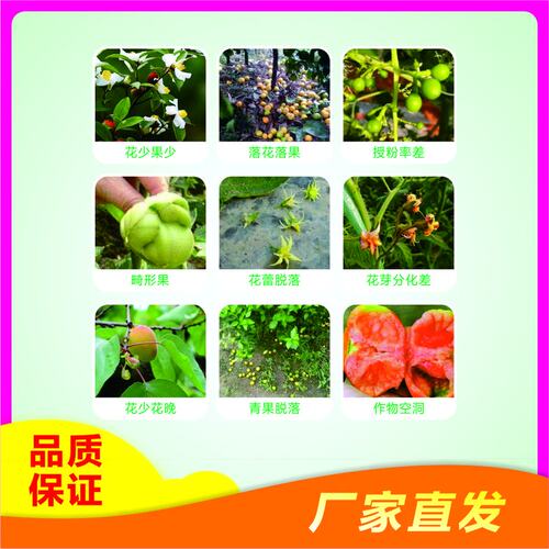 花多果多叶面肥保果花多花壮催花授粉坐果膨果果肽素
