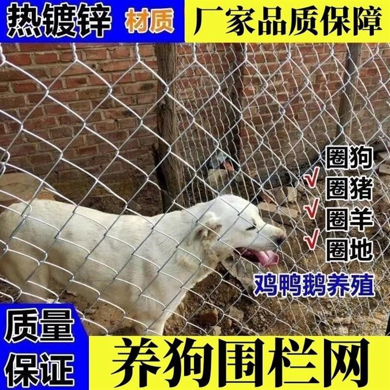 速发养狗围离网室外镀锌铁丝网勾花网藏獒网拦栅隔栏挡狗圈笼子护