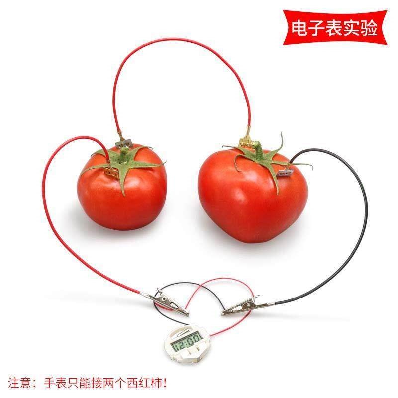 速发水果发电盐水原发电实验器材锌片铜片电极组装材料科学小制作