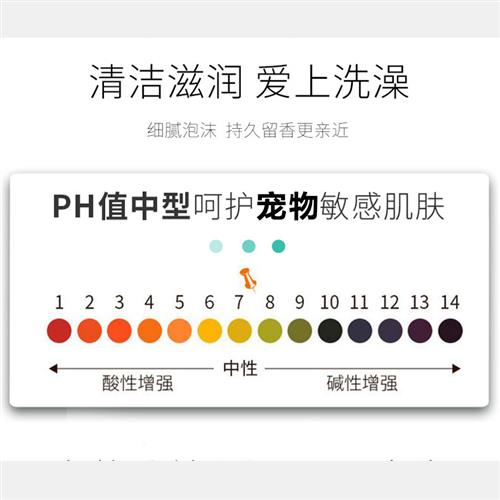 速发厂犬金毛家专用除臭犬幼洗澡用品浴液幼犬香波消臭