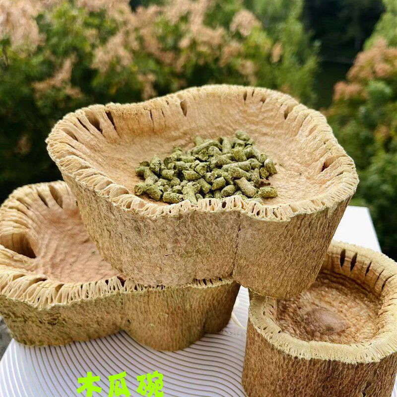 速发木瓜树碗树桩树圈清盆小宠磨牙洁齿放心啃咬解闷香具食玩耐啃