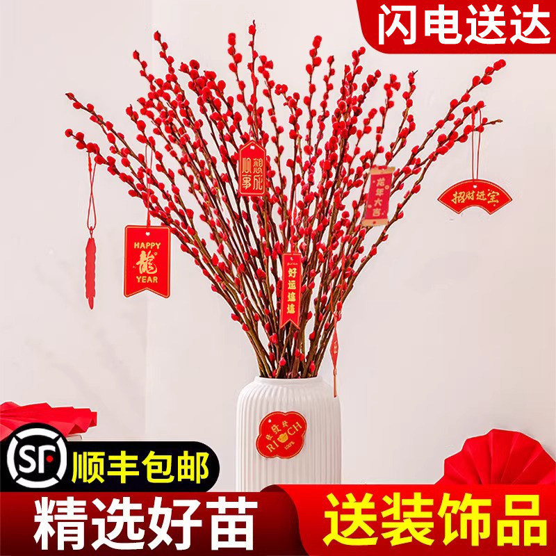 速发银柳客花鲜年干花卉绿植摆件室内真厅新枝红色招财年宵装饰永