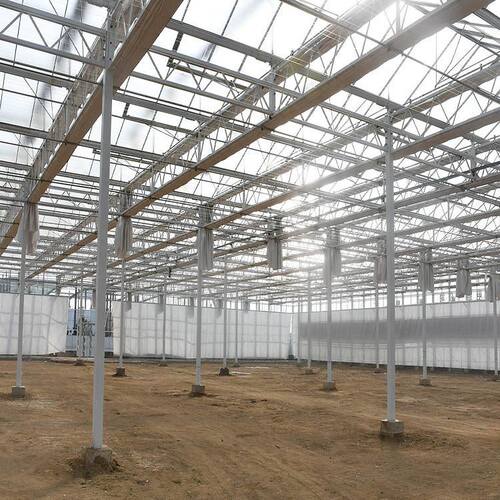 速发文洛玻璃温室大棚 蔬菜花卉大棚 热浸镀锌大棚骨架 温室大棚