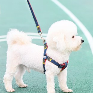 速发大型中型小型犬毛炼子狗项绳泰迪金狗遛狗圈子用品