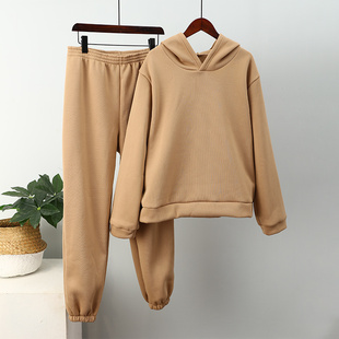 Sets For Warm Women Sweatshirts Solid Hoodie Elegant