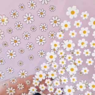 Summer Daisy Petals Art Flo Florals Decals White Nail Fruits