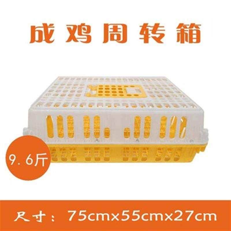 2017熟胶塑料鸡笼运输成鸡周转箱活鸡筐肉鸡框朔料装鸡鸭子的笼子