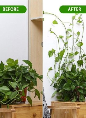 10pcslot Invisible Wall Rattan Clamp Clip Plant Climbing