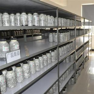 平菇姬菇秀珍菇食用菌种原种蘑菇生产生料熟料种栽培种母种玉米芯