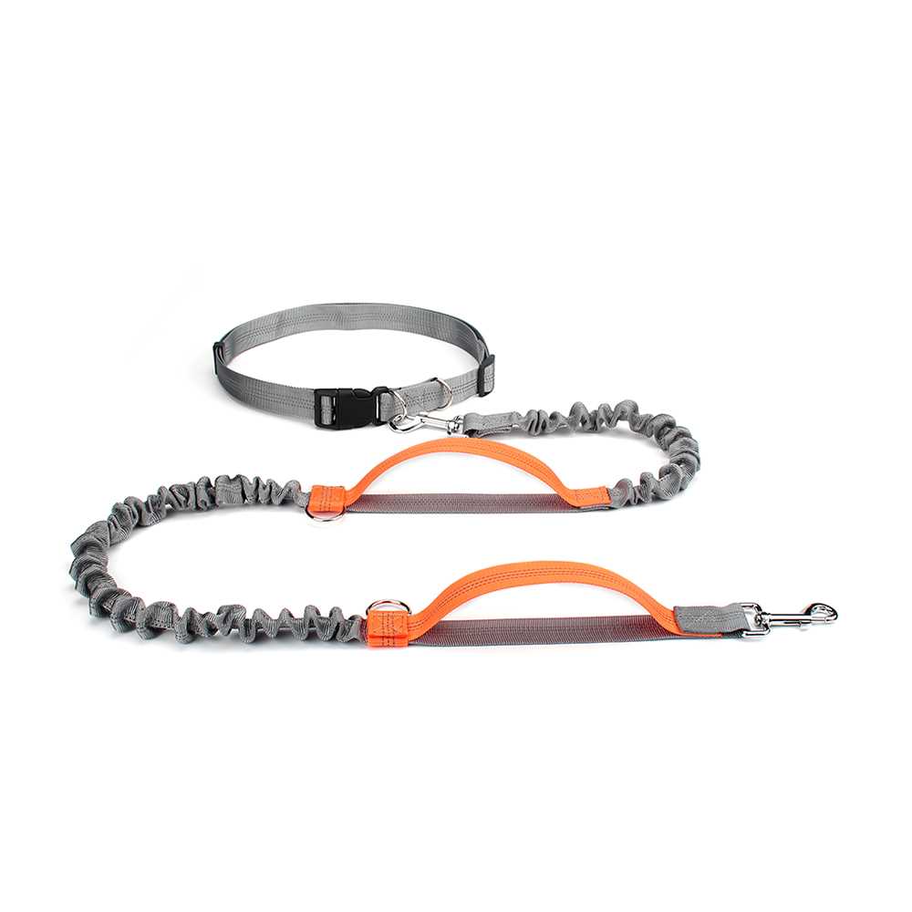 High Qulity Retractable Hands Free Dog Leash For Running Dua