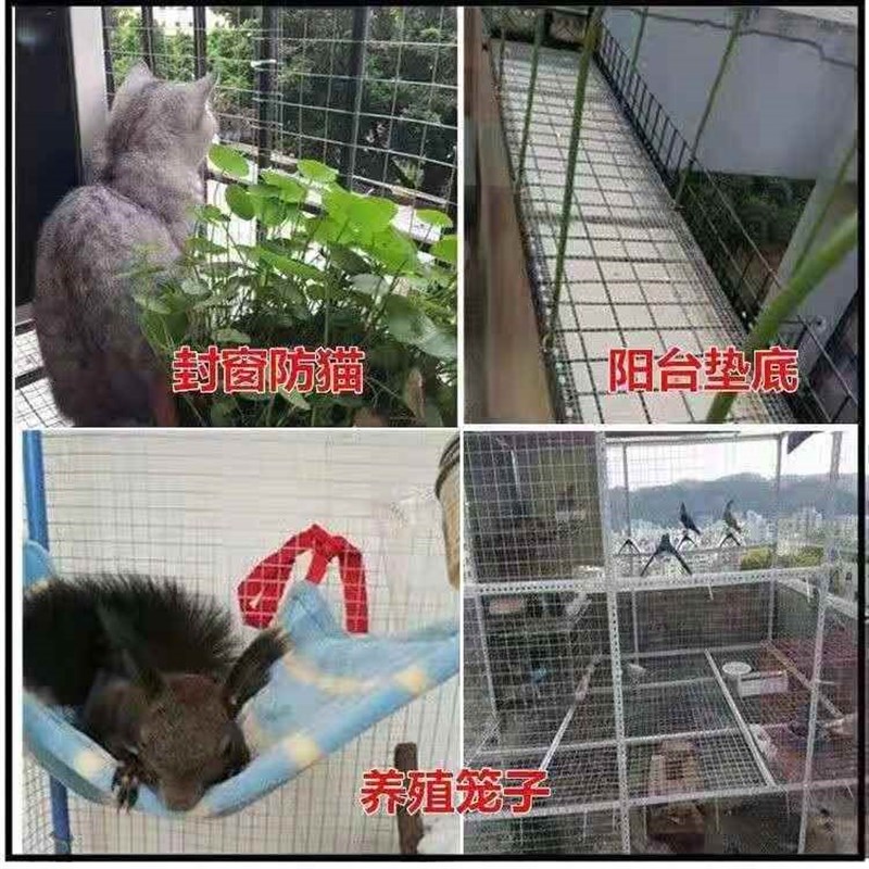大孔镀锌铁丝网玉米网养鸡护w栏网围墙防护隔离铁网5厘米孔电焊网