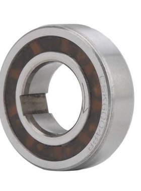 Bearing Have Many Rollers OneWay Bearing Bearing with Keywa