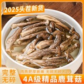 4A级 精品鹿茸菇干货特级500克福建野生香菇菌类批发新鲜煲汤