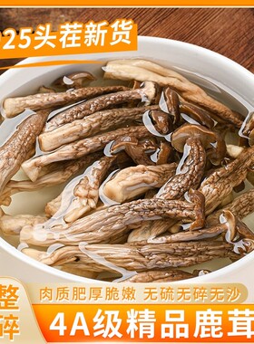 【4A级】精品鹿茸菇干货特级500克福建野生香菇菌类批发新鲜煲汤