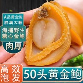 鲍鱼干货大连鲍生海鲜佛跳墙煲汤粥淡晒小鲍鱼干新鲜非鲜活营养