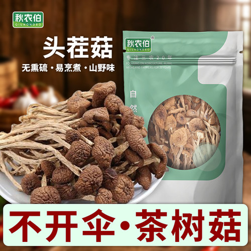 秋农伯精品不开伞茶树菇