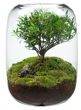 桌面微景观摆件办公室电脑桌工位解压装饰品送朋友情绪稳定小礼物