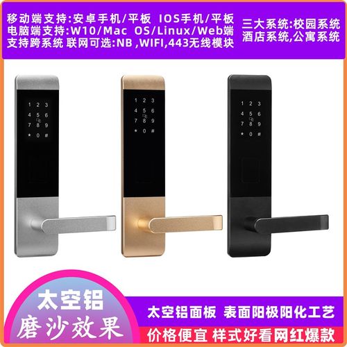 指纹密码锁APP蓝牙智能锁民宿密码锁公寓联网锁小程序指纹门锁WIF