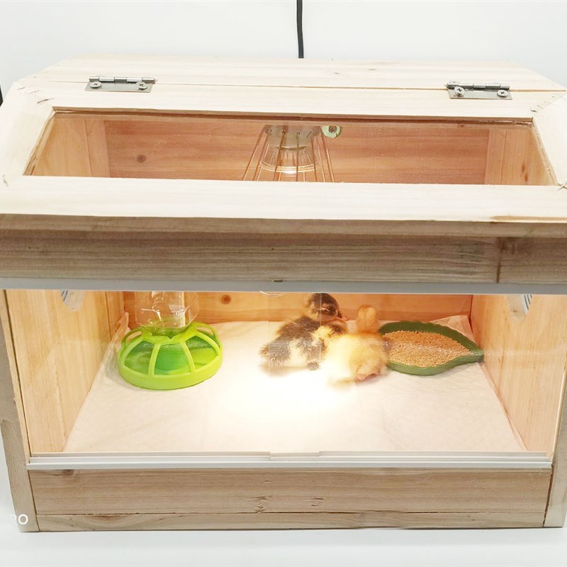 杉木款柯尔鸭宠物保温箱蜥蜴乌陆龟蛇守宫宠物智能恒温育雏箱全套