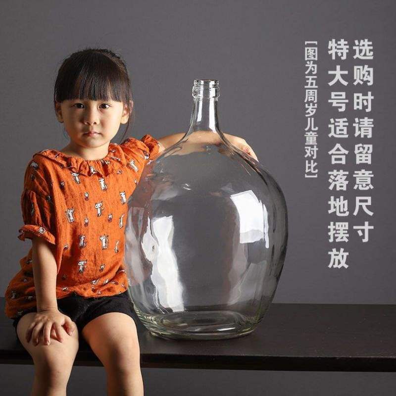 新品细口小口大肚玻璃花瓶吊钟马醉木插花水培落地大号花器简略透
