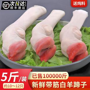 羊蹄子新鲜5斤整箱冷冻整祇爪子羊头羊骨羊肉非熟食蹄子生羊脚蹄