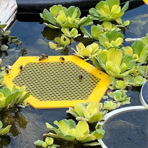 适配跨境新款 Printed Floating Bee Waterer 蜜蜂昆虫饮水盘 亚
