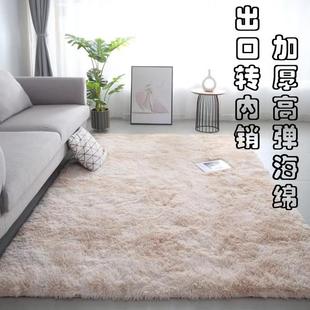 新客厅加厚家用卧室茶几少女床边毛毯房间大面积满铺地毯地垫