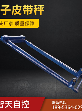 皮带秤 ICS电子称重配料高精度皮带秤分炉计量 单托辊皮带秤 厂家
