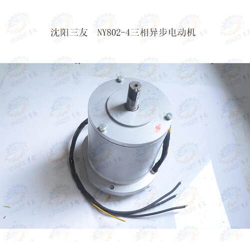 沈阳三友电机配套CW6163 CW6180车床用NY802-4型三相异步电动机