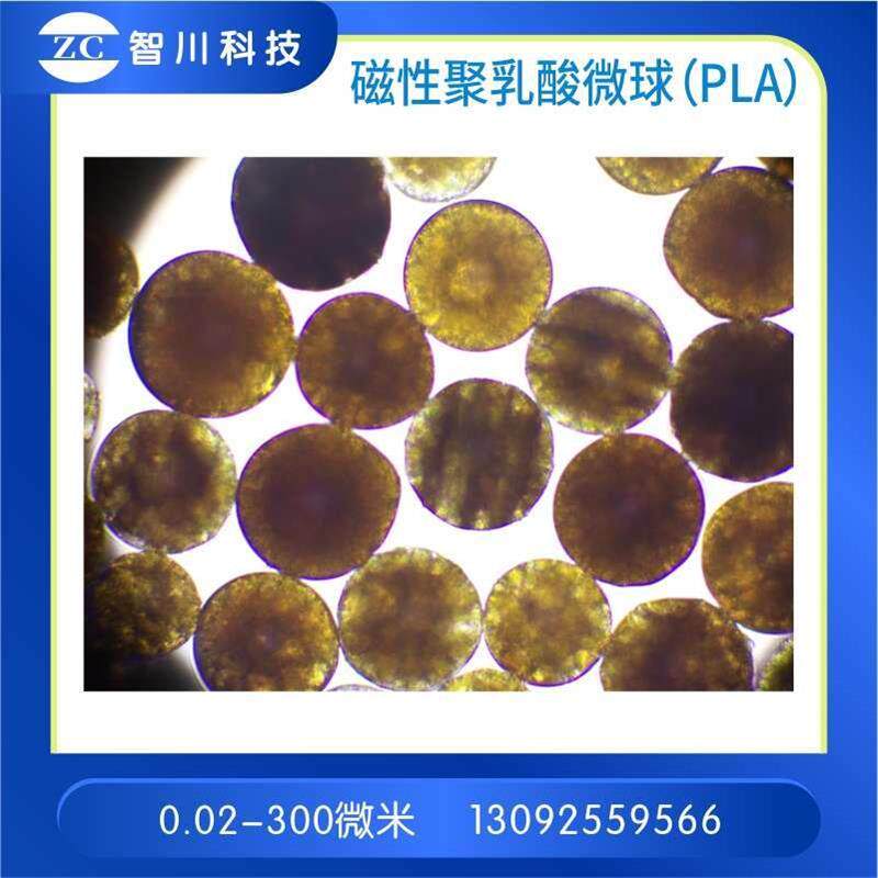 磁性聚乳酸微球(PLA)聚乳酸-羟基乙酸(PLGA)磁性微球