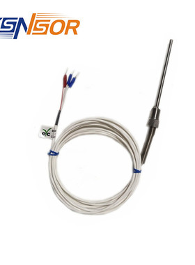台湾EYC热电阻XR1 PT1-A-5-300-M12P1.0-5M-TPFE-304  5M线
