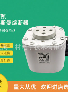 170M7107 170M7115 170M7118 170M7119全新快速熔断器保险丝现货