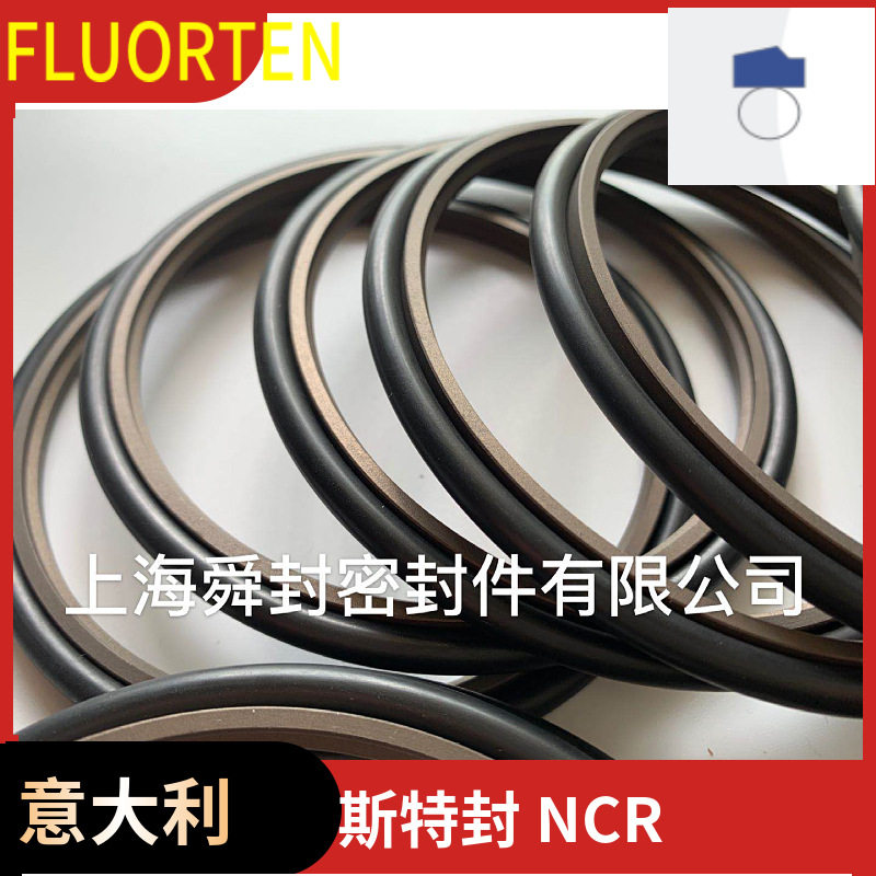 FLUORTEN斯特封PTFE轴用密封圈