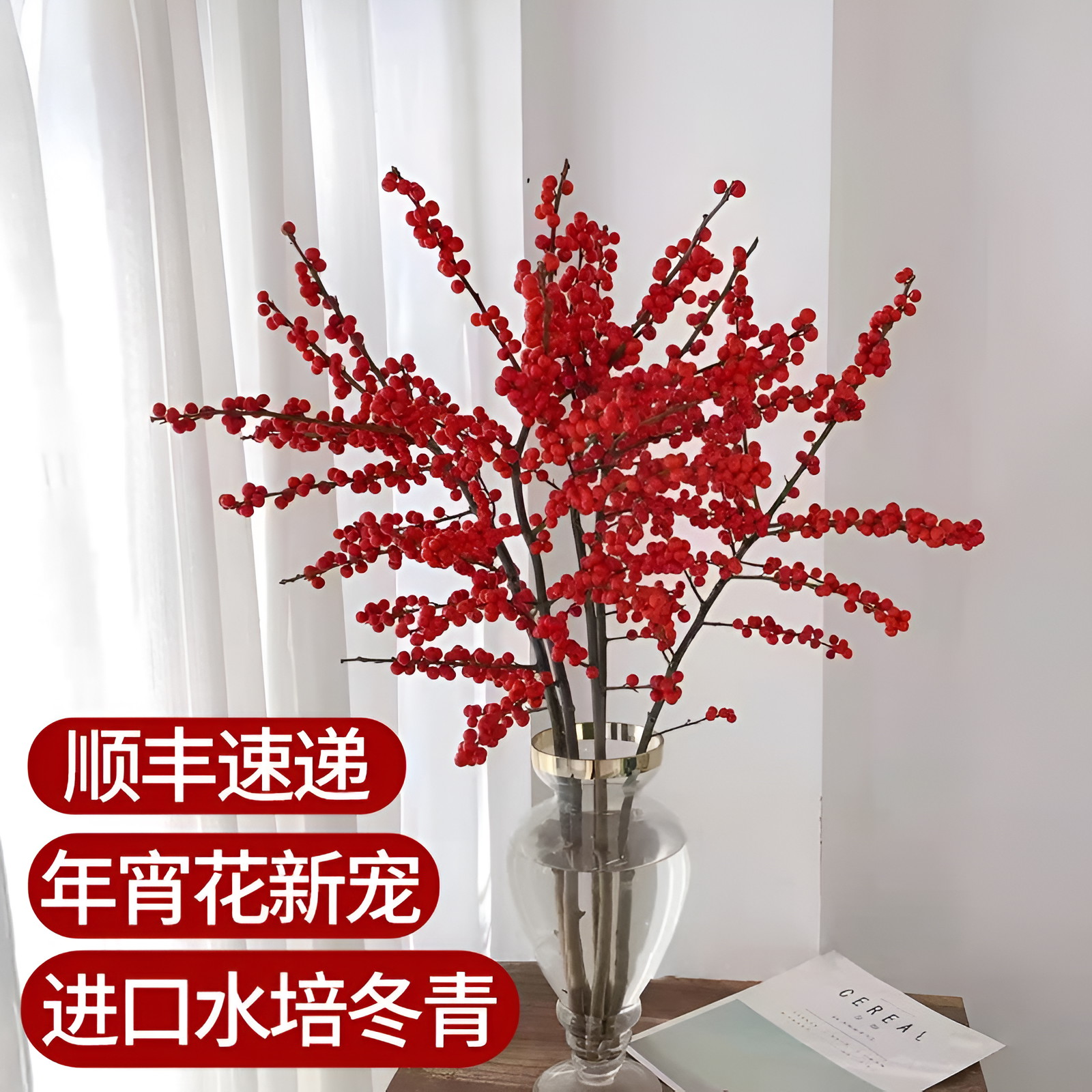 速发北美冬青红果栽培银年盆水室内鲜切新柳真花鲜枝年宵花卉水养