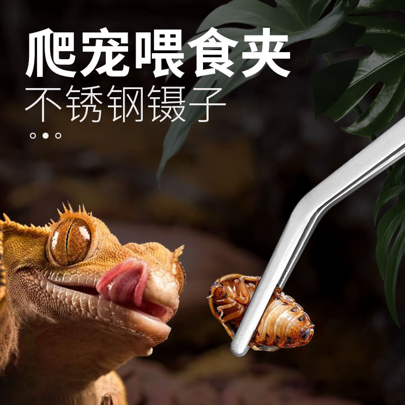 速发乌钢喂食夹子加长喂龟适用龟虫鱼缸清扫工具长柄带齿不锈爬镊