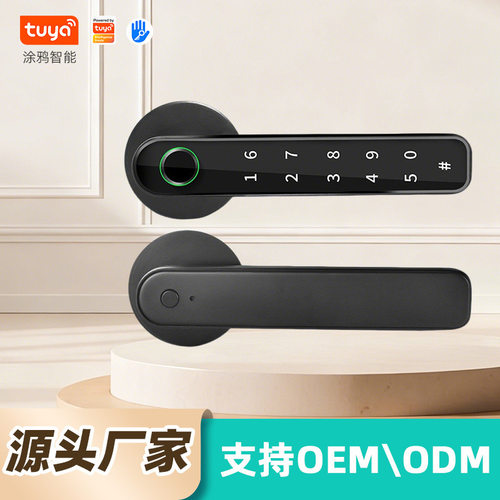 TTLOCK通通锁涂鸦智能指纹门锁