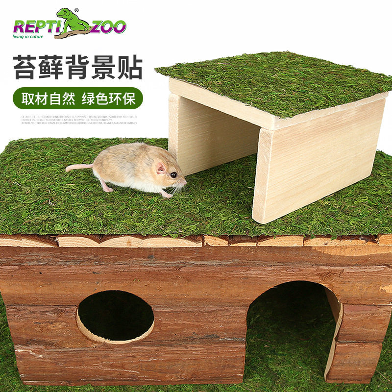 reptizoo小宠苔藓贴无菌仓鼠躲避造景垫材金丝熊饲养箱保温背景贴