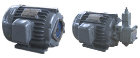 3-PHASE INDUCTION MOTOR油泵电机 YT100L1-4 3HP 2.2KW CBN-310