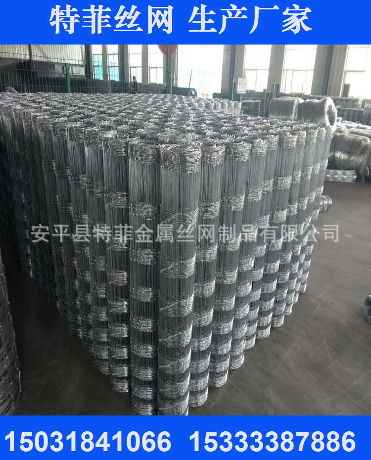 现货供应普通热镀锌牛栏网 1.2x100米 草原围网 质量好 发货快
