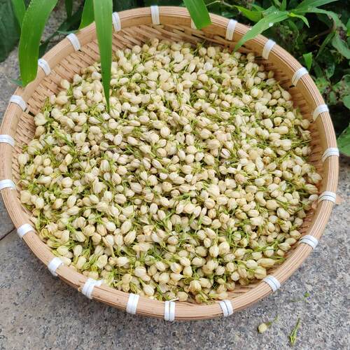 茉莉花茶茶叶茉莉花2024新茶特级浓香型孕妇干花泡茶