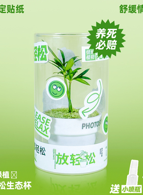 小罗汉松生态杯苔藓微景观室内桌面盆栽工位绿植好养懒人植物