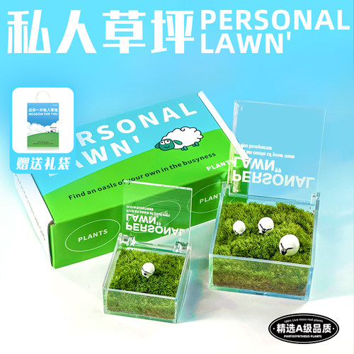 桌面苔藓微景观微观小绿植