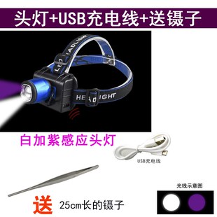 感应紫光灯USB充电户外照明白z蓝夜钓头灯 抓照紫 紫白双光头戴式