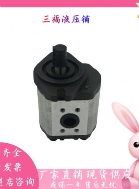 WINMOST台湾峰昌 EG-PBD-22-20 EG-PBD-26-R EG-PBD-30-R 齿轮泵