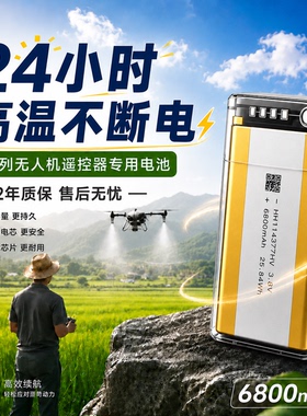 大疆原厂T100ST200T70T70pT100T60T50T40FC100遥控器外置WB37电池
